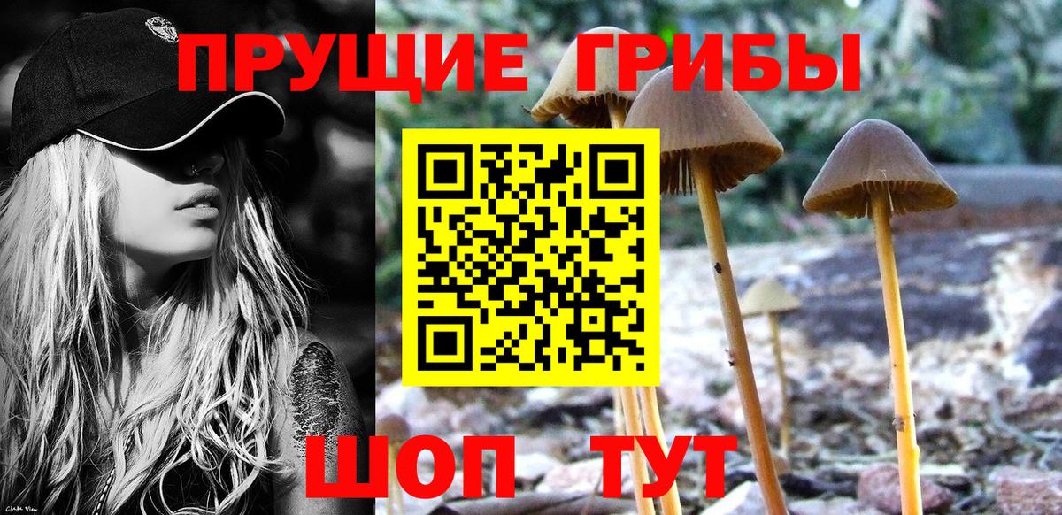 Галлюциногенные грибы ЛСД Аргун