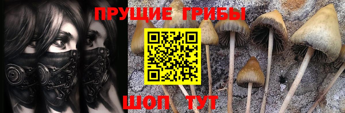Аргун  Псилоцибиновые грибы прущие грибы  Вход с VPN 